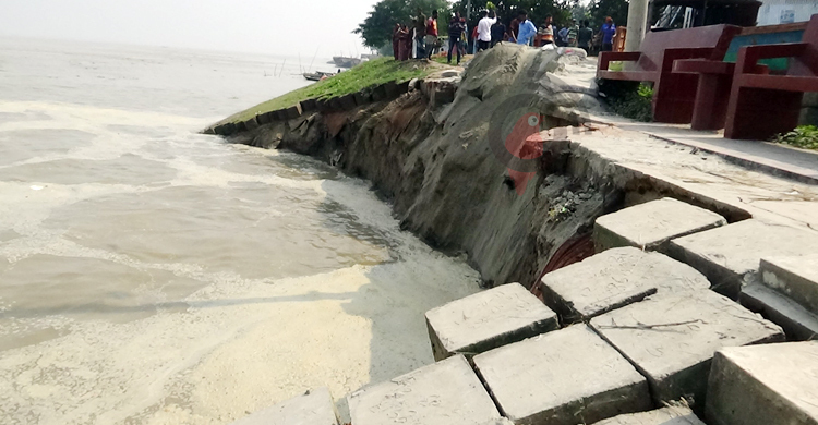 রাজবাড়ীতে পদ্মার বাঁধে ভাঙন, ১৫০ মিটার ব্লক নদীগর্ভে