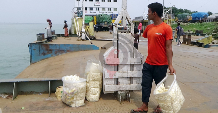 পদ্মা সেতু: কাজ হারানোর শঙ্কায় দৌলতদিয়ার কয়েক হাজার মানুষ