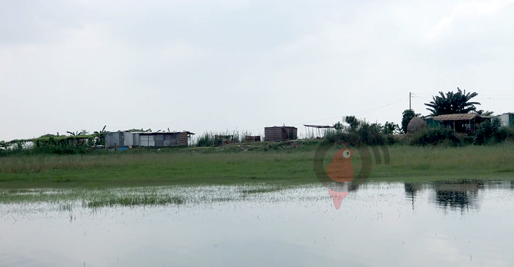 অবহেলিত এক জনপদ ‘চর কুশাহাটা’