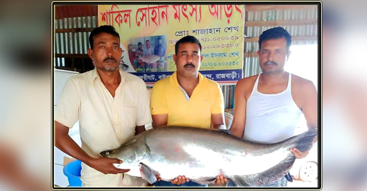 এক চিতলেই আজগরের মুখে ঈদের হাসি