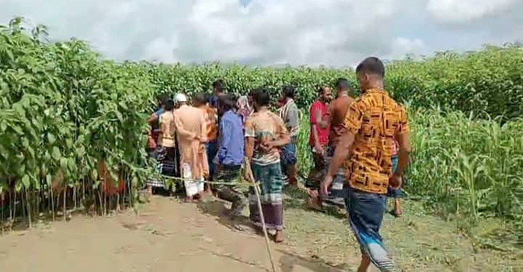 পাটক্ষেতে মিললো মাদরাসা ছাত্রের মরদেহ