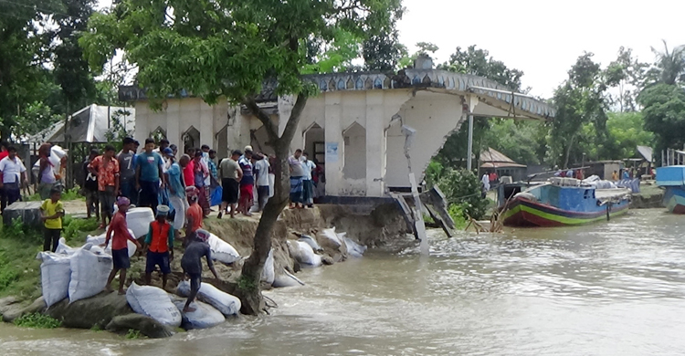 পদ্মার ভাঙনের কবলে মসজিদ-বসতি, আতঙ্কে জনপদ