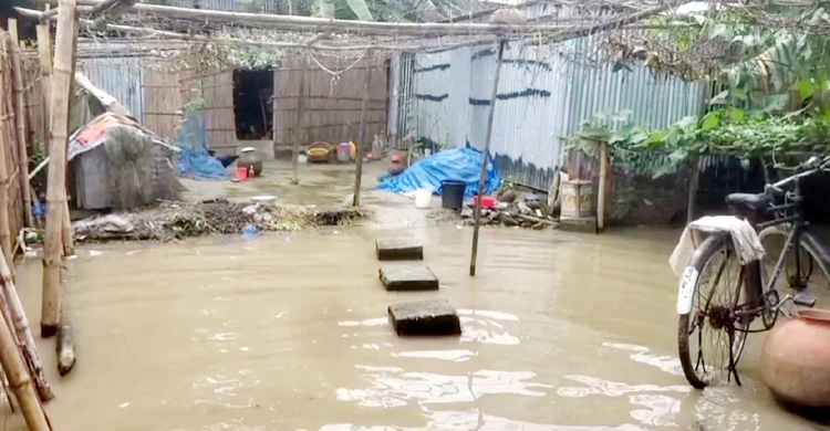 রাজবাড়ীতে বাড়ছে পদ্মার পানি, নিম্নাঞ্চল প্লাবিত হওয়ার আশঙ্কা