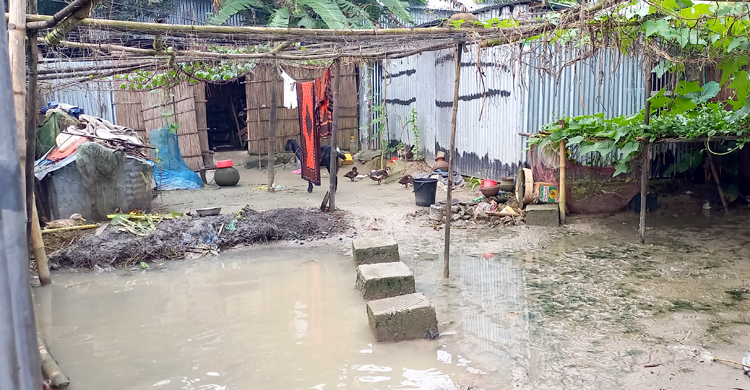 রাজবাড়ীতে পানিবন্দি প্রায় ৭ হাজার পরিবার