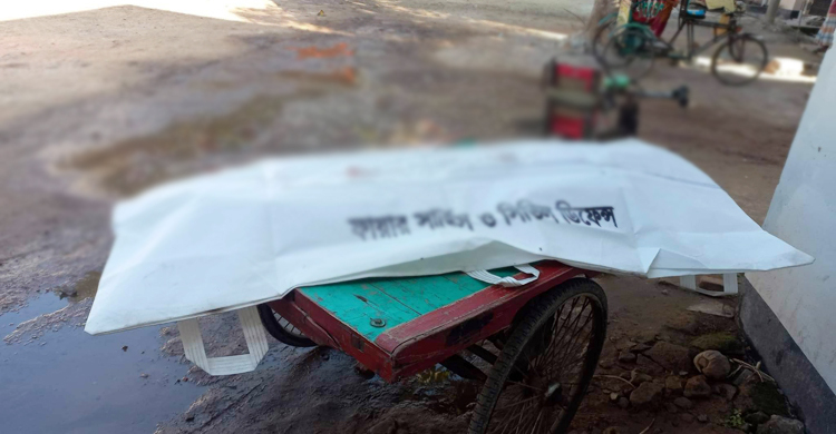 রাজবাড়ীতে ট্রাকচাপায় নারী নিহত, চালক আটক