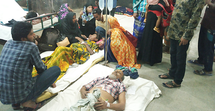 রাজবাড়ীতে ব্রিজ ভেঙে শিক্ষার্থীসহ ৫ জন আহত