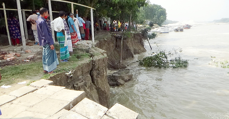 রাজবাড়ীর গোদার বাজারে ফের পদ্মায় ভাঙন, আতঙ্কে স্থানীয়রা