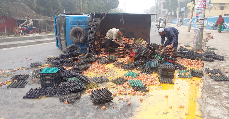 ডিম বোঝাই মিনি ট্রাক উল্টে ৩ লাখ টাকার ক্ষতি