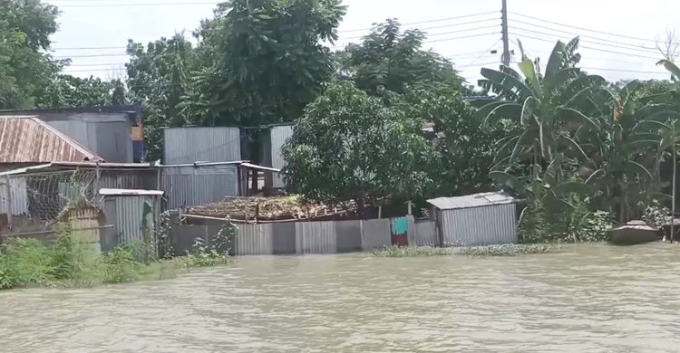 রাজবাড়ীর বন্যা পরিস্থিতির অবনতি, দুর্ভোগে পানিবন্দিরা