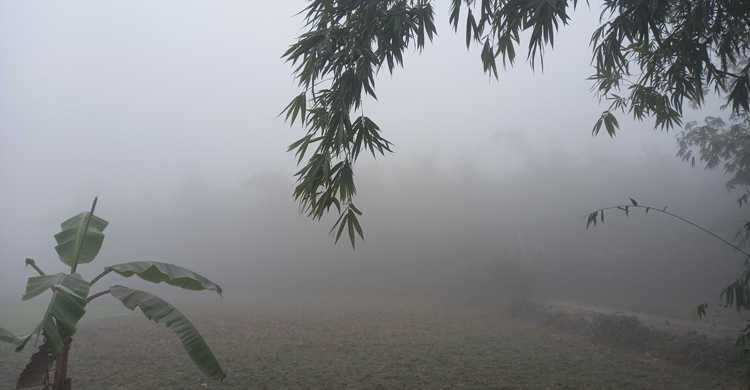 আরও কমল রাজশাহীর তাপমাত্রা