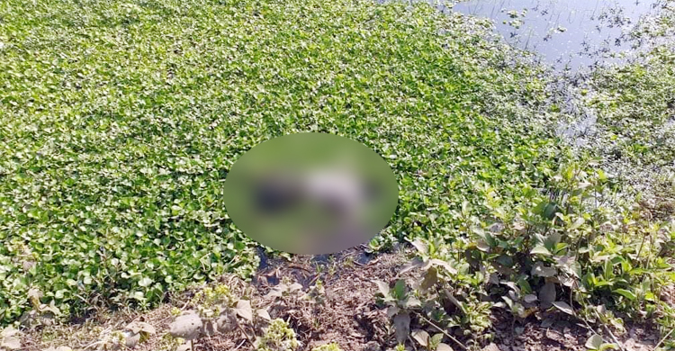 নিখোঁজের ৬ দিন পর রিকশাচালকের লাশ উদ্ধার