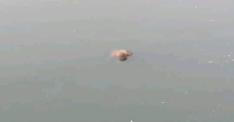 কাপ্তাই হ্রদে মিললো দিনমজুরের মরদেহ