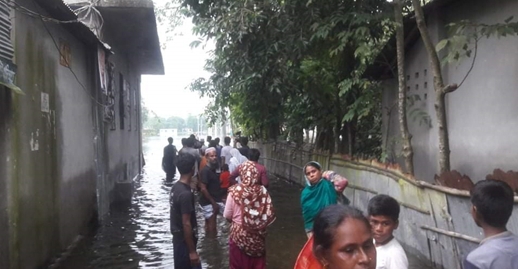 ছেলেকে বাঁচাতে পানিতে ঝাঁপ দিলেন মা, মিলল দুইজনের লাশ