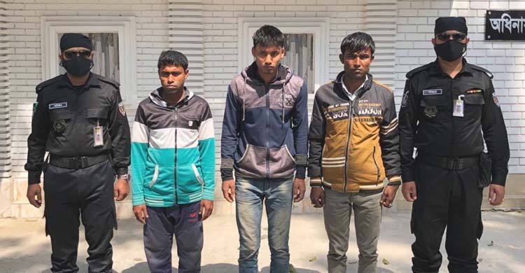 ভুট্টার আড়ালে ১৫ কেজি গাঁজা, গ্রেফতার ৩