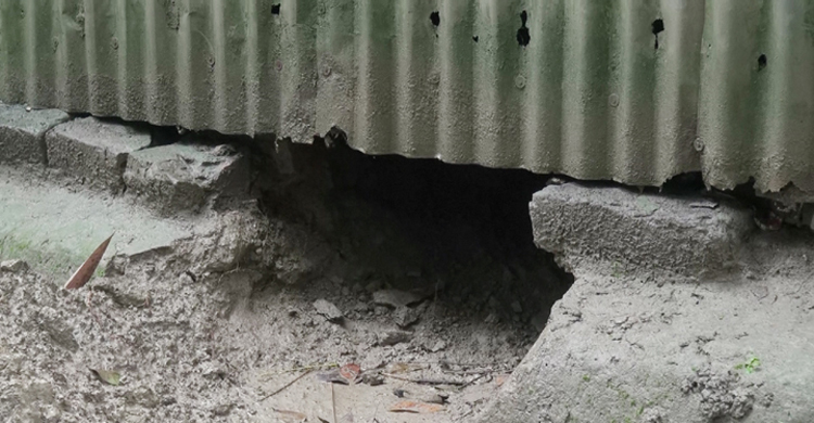 ঘরের সিঁদ কেটে ঘুমন্ত শিশুকে ধর্ষণের ঘটনায় মামলা