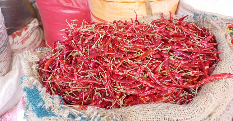 সিরাজগঞ্জে ২ সপ্তাহে শুকনা মরিচের কেজিতে বেড়েছে ৭০ টাকা