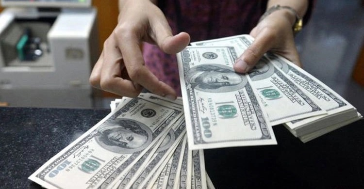Remittance witnesses 40.10pc growth in 11 months