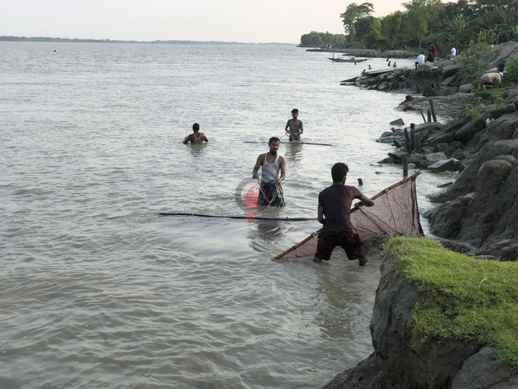 চিংড়ির রেণুর বলি কোটি মাছের পোনা