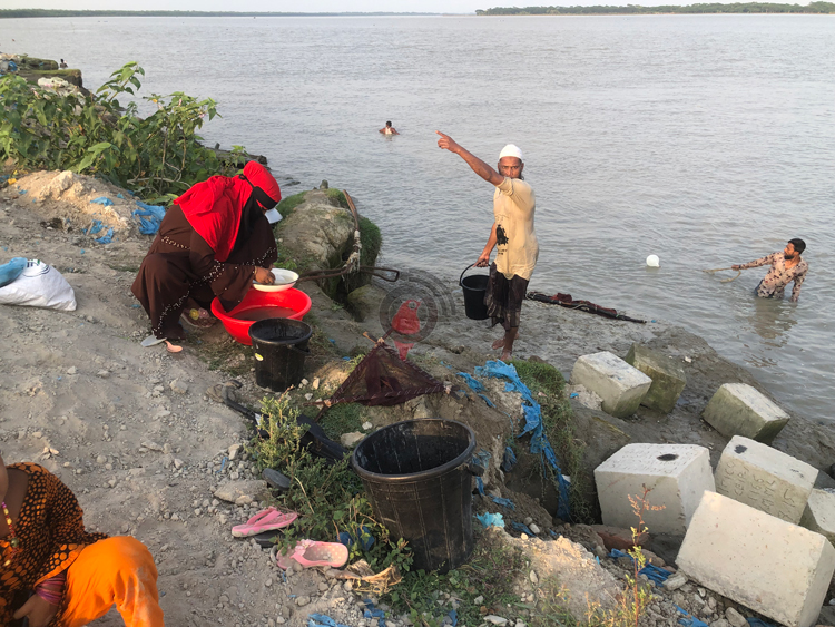 চিংড়ির রেণুর বলি কোটি মাছের পোনা