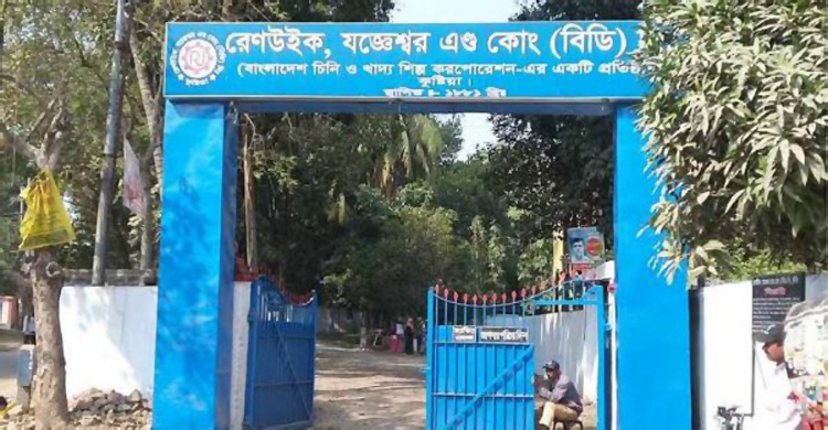 লোকসানে ডুবছে রেনউইক যজ্ঞেশ্বর