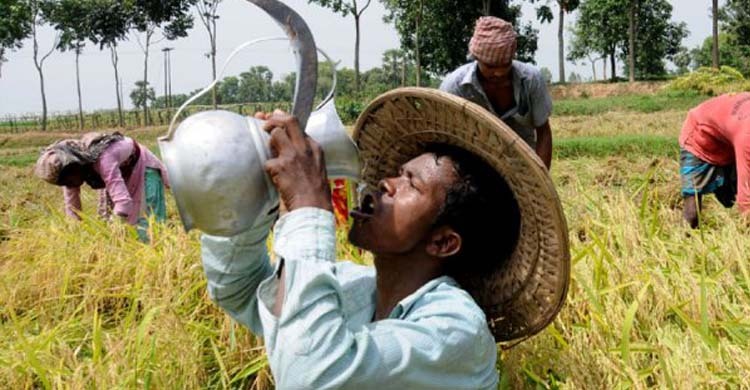 বাংলাদেশে কৃষিতে নষ্ট ১৫ হাজার মিলিয়ন ঘণ্টা