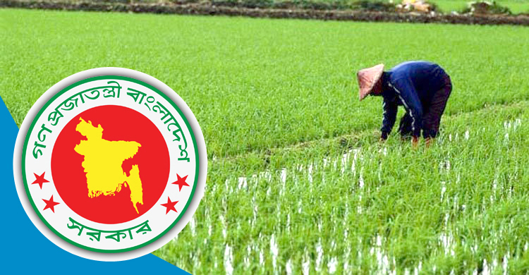 আউশের উৎপাদন বাড়াতে ৫৭ কোটি  টাকার প্রণোদনা