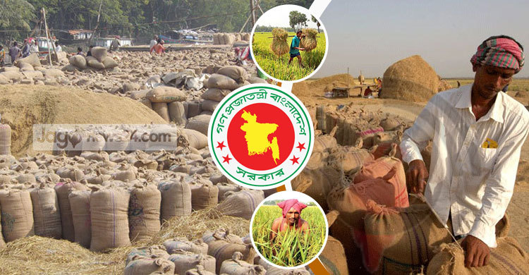 আমন সংগ্রহে লক্ষ্যমাত্রা অর্জন নিয়ে সংশয়