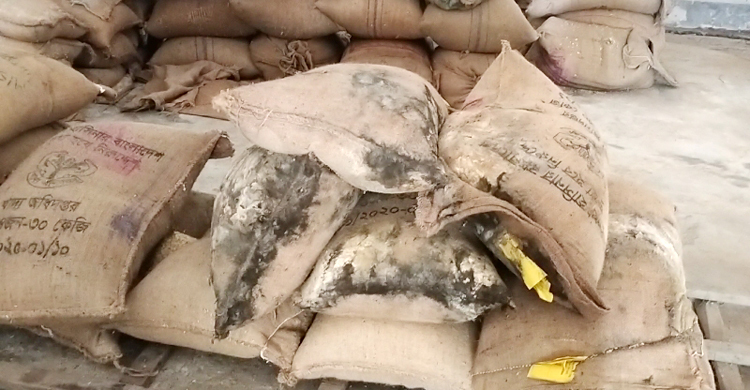 চাবি দুই মাস চেয়ারম্যানের কাছে, গোডাউনেই নষ্ট ভিজিডির চাল-সার