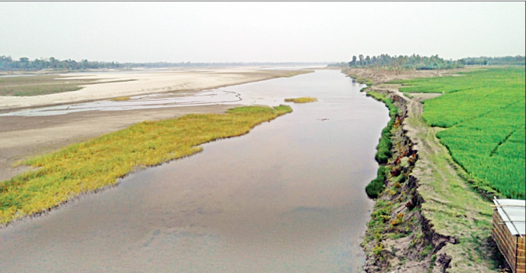 কুড়িগ্রামে গরু চরাতে গিয়ে কৃষক নিখোঁজ