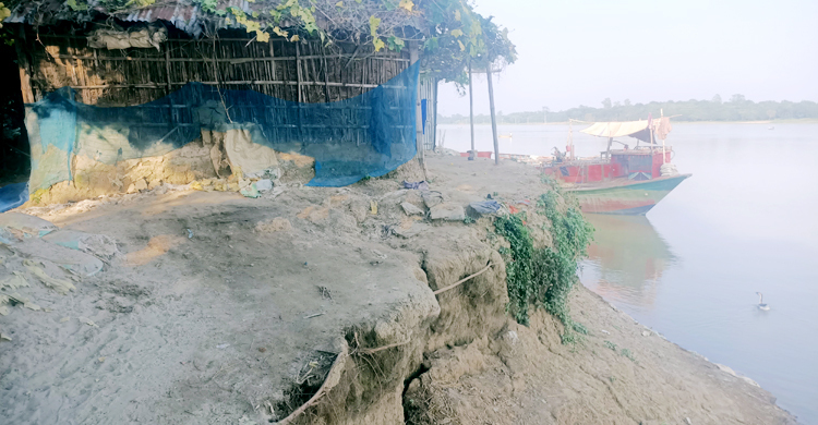 ফের মহানন্দায় তীব্র ভাঙন