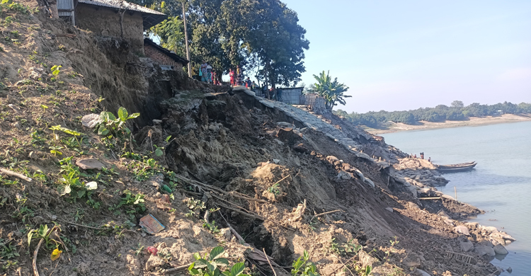 গভীর রাতে মহানন্দায় বিলীন পূর্ণিমার বসতবাড়ি, আতঙ্কে আরও আড়াইশো