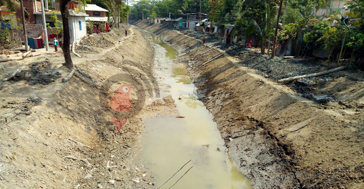 খননের নামে অনিয়মের কবলে জীবনানন্দের ধানসিড়ি