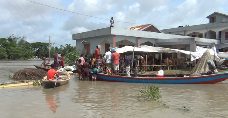 শিবচরে পদ্মার গর্ভে মাদরাসা ভবন, ঝুঁকিতে স্কুল-ইউনিয়ন পরিষদ