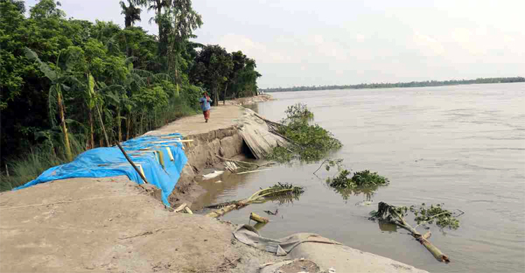 তীর ভেঙে নদীতে পড়ে জালসহ জেলে নিখোঁজ