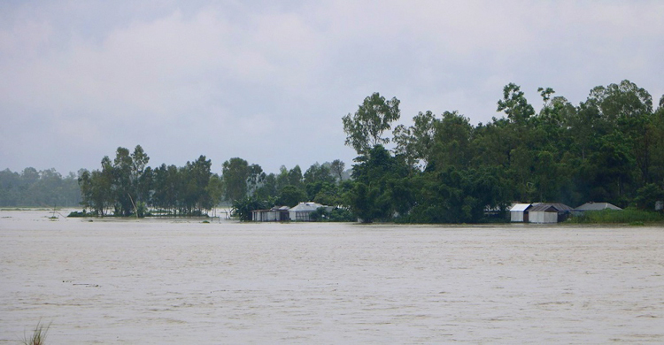 বিপৎসীমার ওপরে তিস্তা, ১০ হাজার মানুষ পানিবন্দি