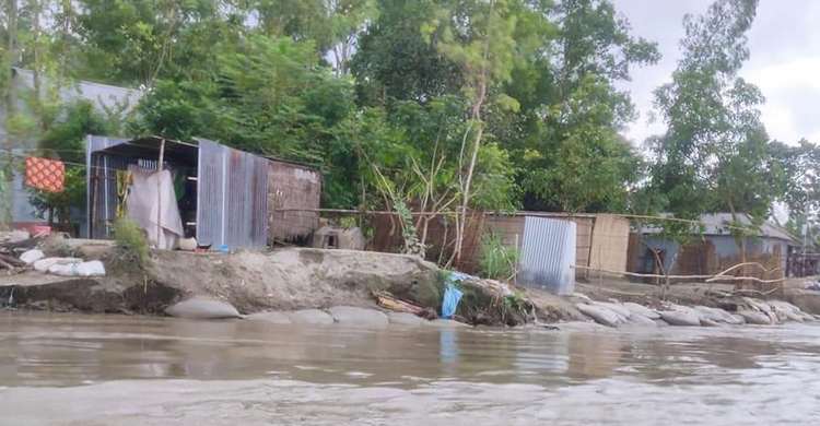 যমুনার পেটে গেছে চৌহালির ১৫ গ্রাম