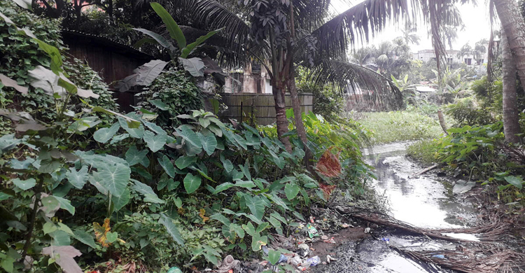 দখল দূষণে অস্তিত্ব সংকটে পুরাতন খোয়াই নদী