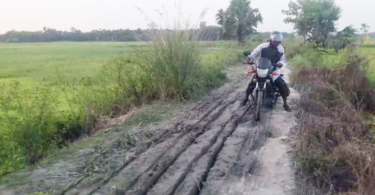 ৩০ বছরে একটি ইটও পড়ল না রাস্তাটিতে