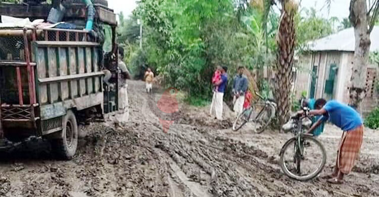 পাকা রাস্তা নয় যেন বোরো রোপণের জমি