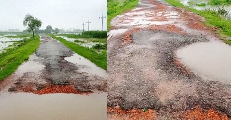 ৫ কিলোমিটার সড়কে হাজারো গর্ত, দুর্ঘটনার শঙ্কা