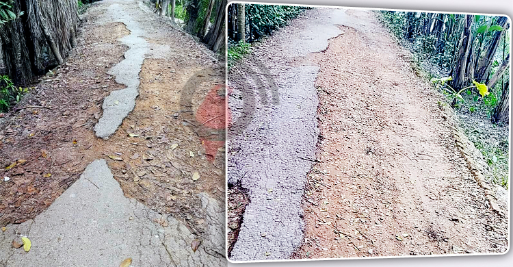 পাঁচ গ্রামের মানুষ ভুগছে দেড় কিলোমিটার সড়কে