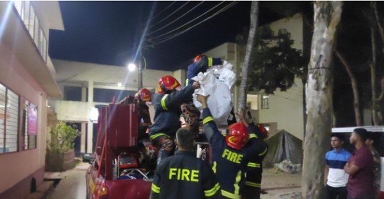 চাঁদপুরে বেপরোয়া পিকআপের ধাক্কায় বাবা-ছেলে নিহত