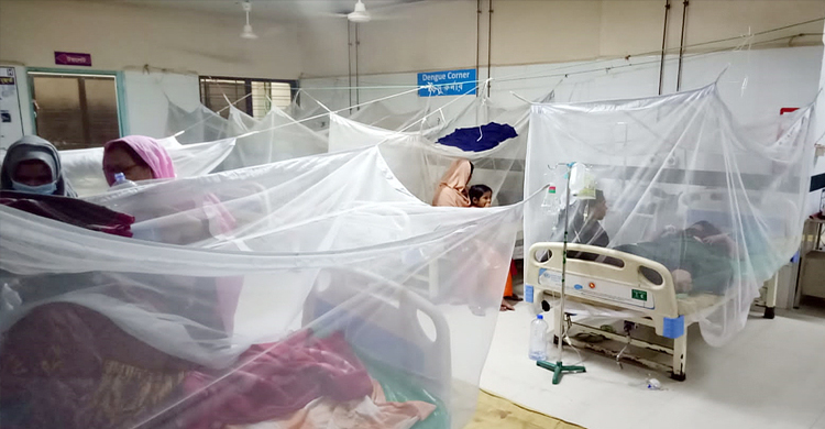 রোহিঙ্গা ক্যাম্পে বাড়ছে ডেঙ্গুর প্রকোপ