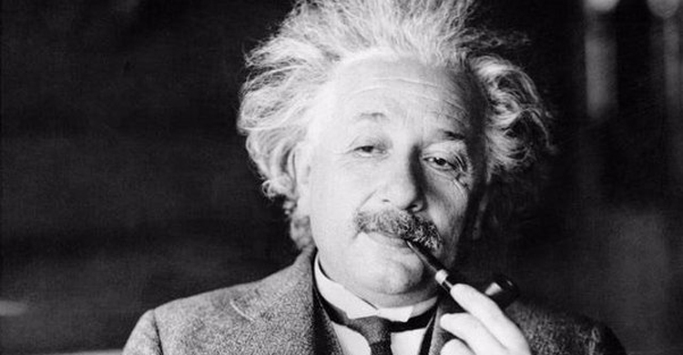 আইনস্টাইনের মজার ঘটনা: বিড়ালের জন্য দরজা