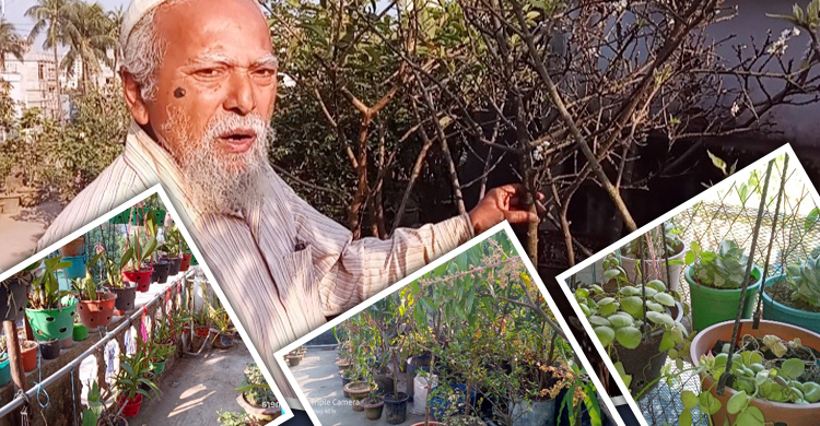 কংক্রিটের শহরে প্রশান্তি বিলাচ্ছে আব্দুল ওয়াহাবের ছাদবাগান