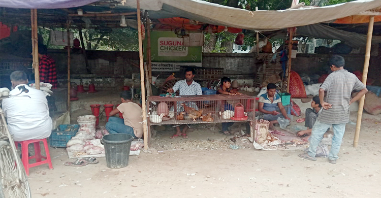 বিনোদপুরে খুলেছে দোকানপাট, আসছেন না শিক্ষার্থীরা