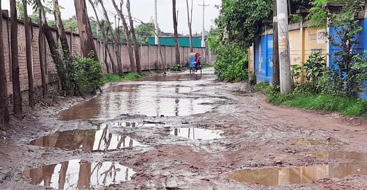 ৪ কিলোমিটারের সড়কে শতাধিক গর্ত