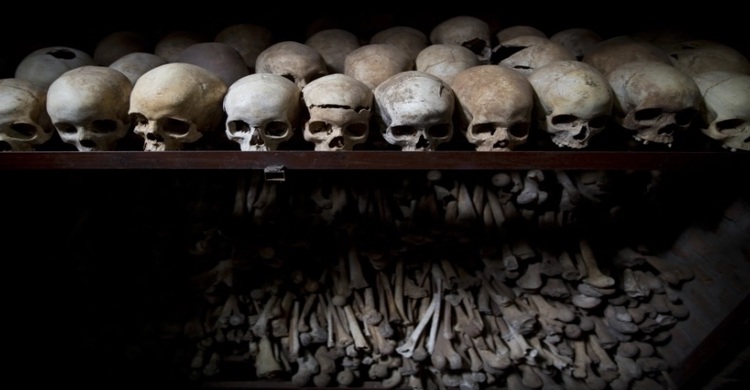 Belgium detains Rwanda genocide suspects