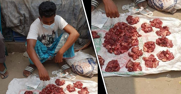 ৯৯৯-এ কল, শিয়ালের মাংসসহ যুবক আটক