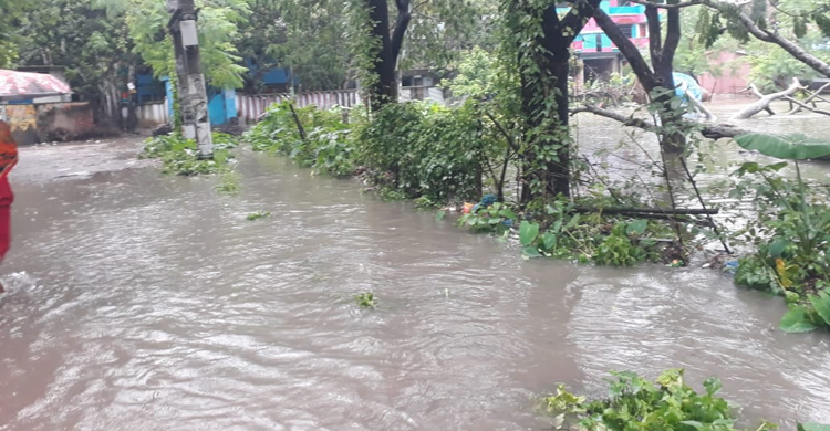 টানা বৃষ্টিতে সাতক্ষীরায় নিম্নাঞ্চল প্লাবিত, তলিয়ে গেছে চিংড়ি ঘের